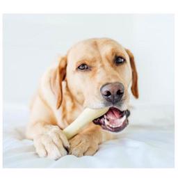 PetStages Hound Chick A Bone Chews Chicken Flavor XSMALL